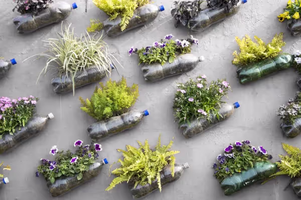 Home Learning Activity:  Making a vertical garden