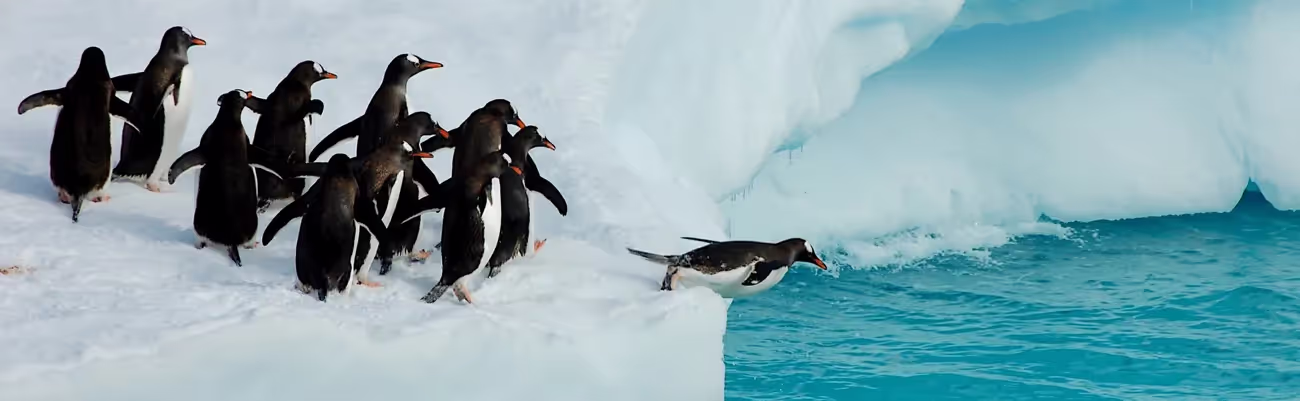 Cold Areas: Antarctica