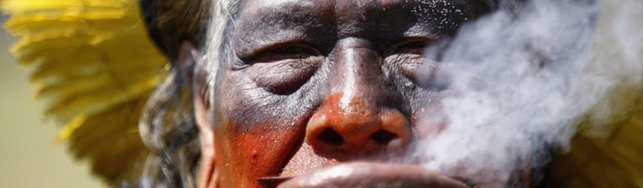 Indigenous People of the Rainforest