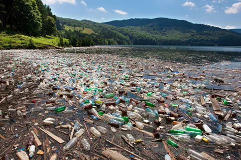 Plastic Pollution